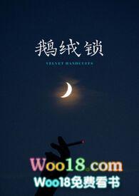 鹅绒锁 笔趣阁