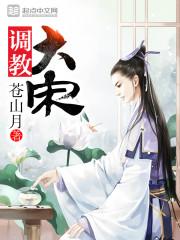 调教大宋txt百度