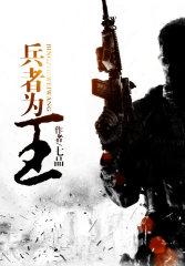 兵者为王动画片