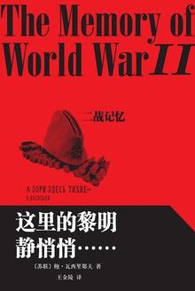 这里的黎明静悄悄 电视剧