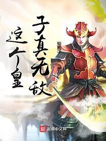 这个皇子真无敌女主