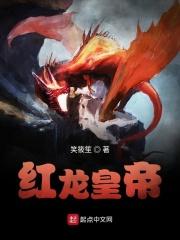 主角是西方龙的25本