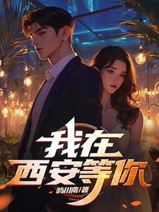 我在西安等你txt全本百度