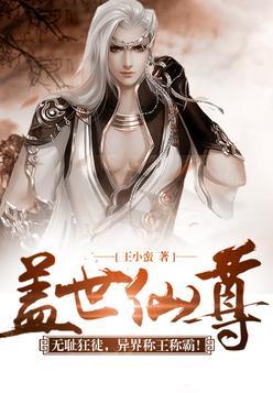 盖世仙尊丁浩境界划分