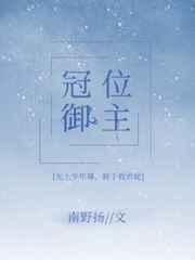 命运冠位指定御主礼装排行