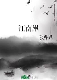 江南岸无弹窗