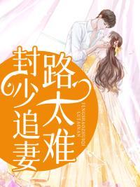 总裁宠妻太节制