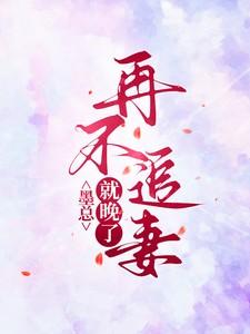 再不追妻就晚了番外