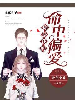 你是我的命中注定全文免费阅读