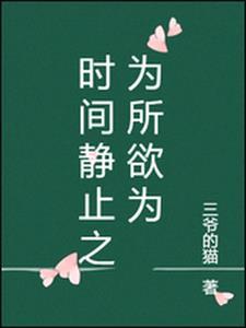 时间静止为所欲为多少字