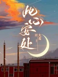 此心安处是吾乡剧情