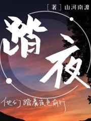 踏夜露酒多少钱