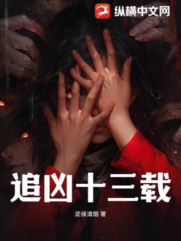 追凶十三载剧情介绍分集