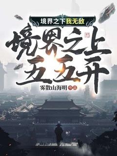 境界之力的能力是什么