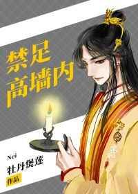 禁足高墙内好看吗