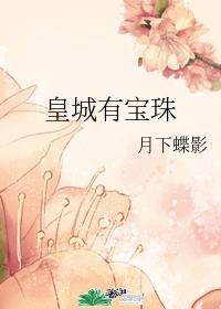 皇城有宝珠圆房了吗