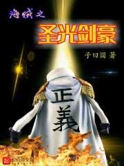 海贼之圣光剑圣