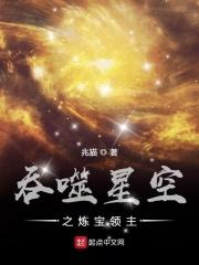 吞噬星空炼宝领主免费阅读