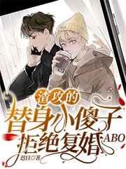 渣攻的小傻子替身