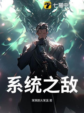 系统之敌人