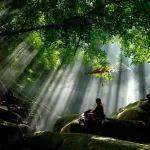 盗墓笔记之雨村笔记免费听书