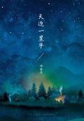 天边一星子的评价