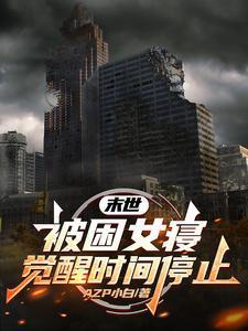觉醒时间停止H