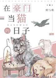 在豪门当猫的日子作者