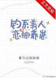 钓系美人恋综养崽 喜马拉雅种猫