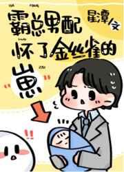 男配怀了霸总孩子