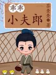 娇宠乖乖小夫郎