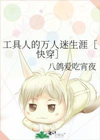 工具人的万人迷生涯全文免费阅读