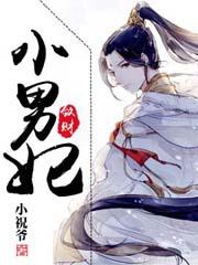 敛财小男妃TXT笔趣阁
