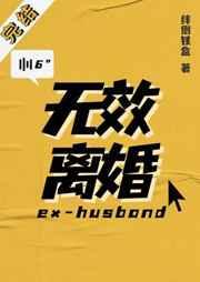 无效离婚by绊倒铁盒全文免费阅读