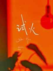 试火流年电视剧在线观看免费