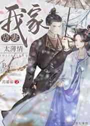 我家贤妻太薄情txt百度