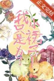 裤裙配什么上衣好看