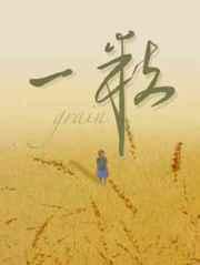 一粒麦子歌词歌谱