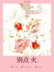 别点火 番外