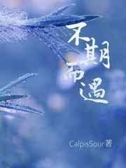 不期而遇的美作文600字初中