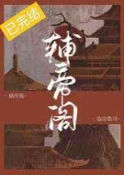 辅帝阁免费全文阅读