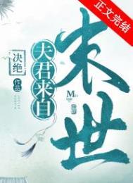 夫君来自未来TXT
