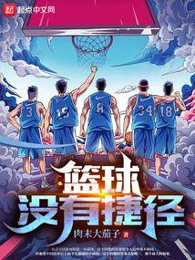 篮球没有捷径全文阅读