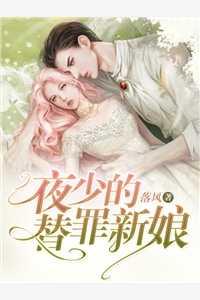 夜少的替嫁甜妻