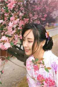 重生九皇叔摄政王免费阅读