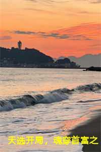 主角是天选者的