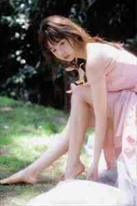 小司机沉浮免费阅读