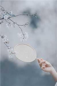 穿越七零全家都穿越的