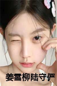 姜雪柳陆守俨第十七章