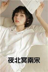 夜北冥盛夏免费阅读